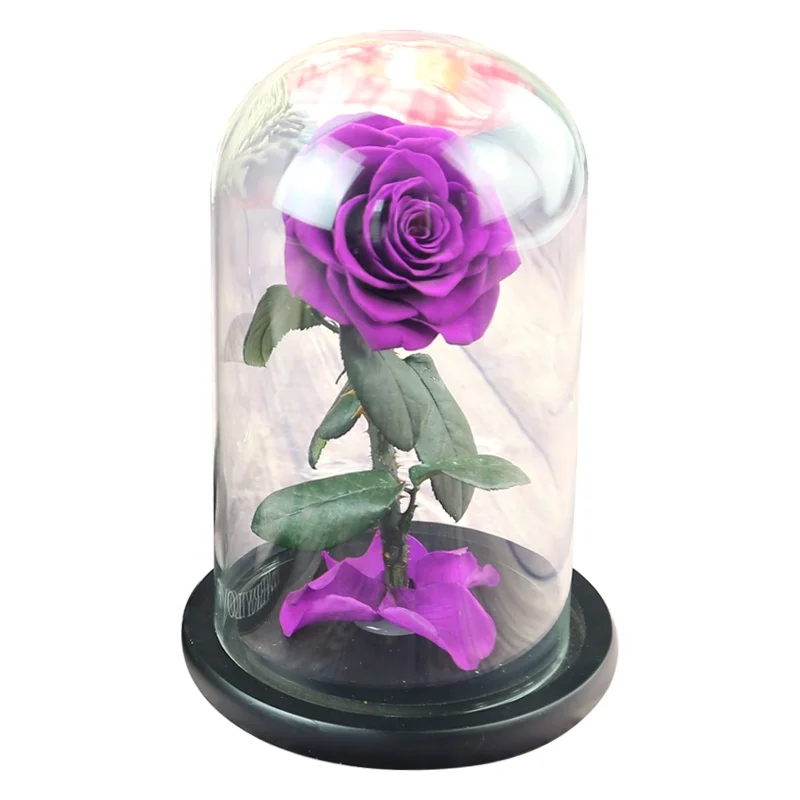 rose preserved glass dome in gift box  hot sale eternal real stabilized flower with stem for christmas
