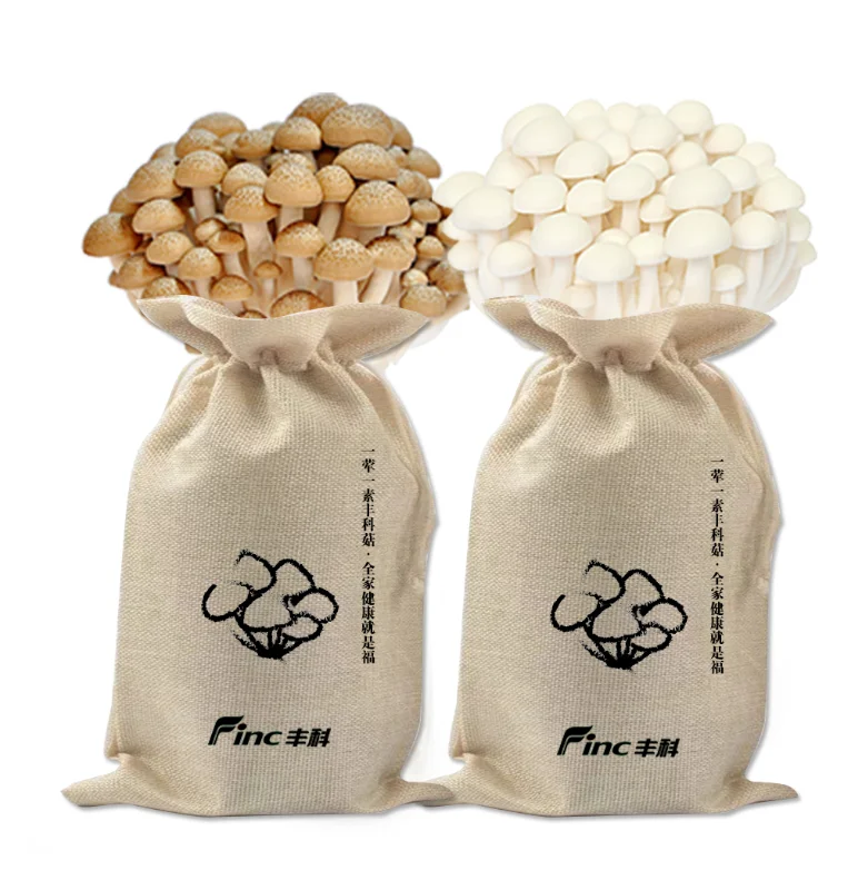 
Top Sale China Agricultural Product Shimeji Mushrooms Edible Mottled Fungi for Marketplace 