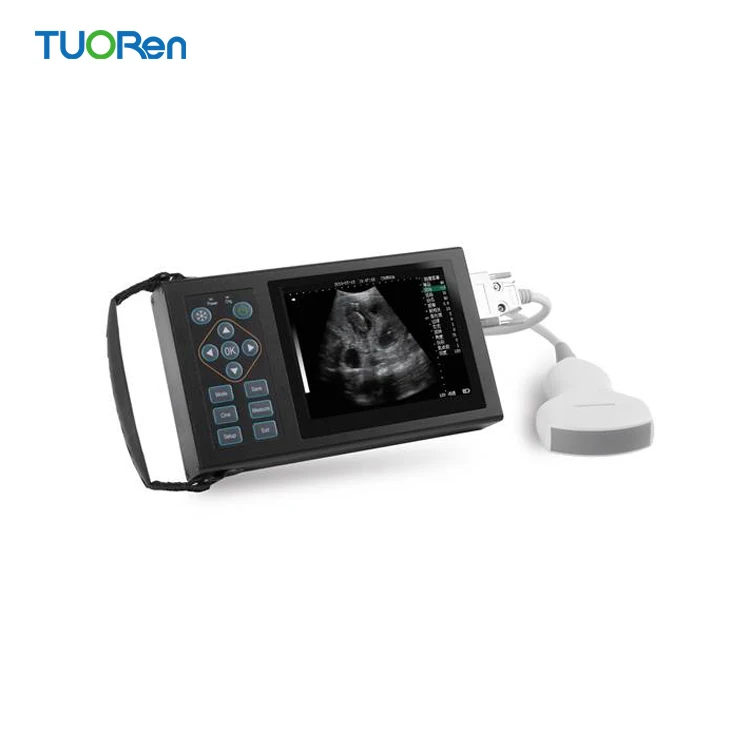 China  large animal pregnancy scanner ultrasound for farm animals