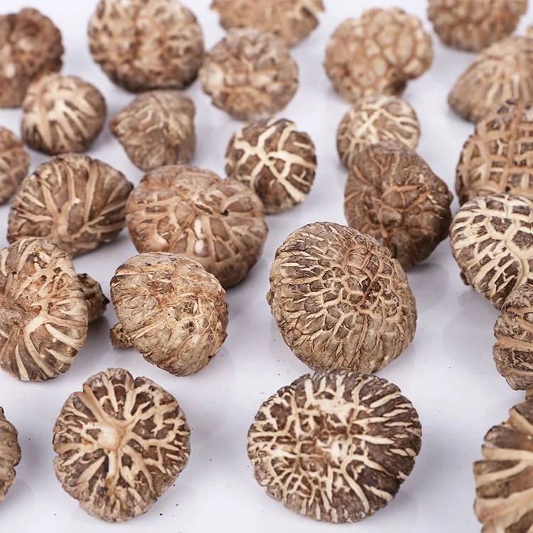 China Dried shiitake mushroom Whole Dried package Organic Shiitake Mushroom