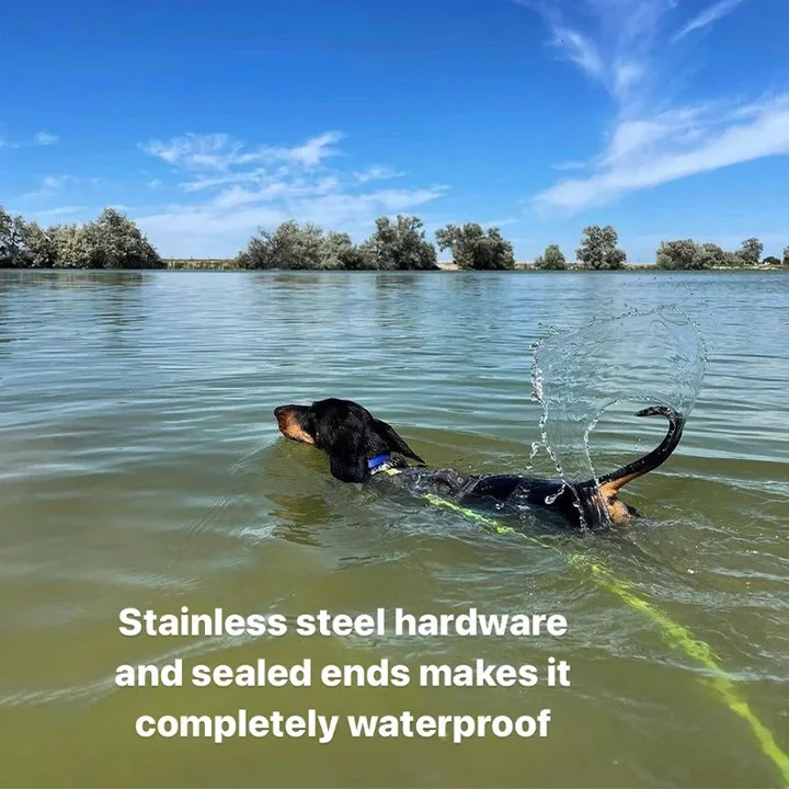 Customized Logo Color Luxury Fashion PVC  Coated Nylon Dog Training Leash Waterproof Durable PVC Dog Lead