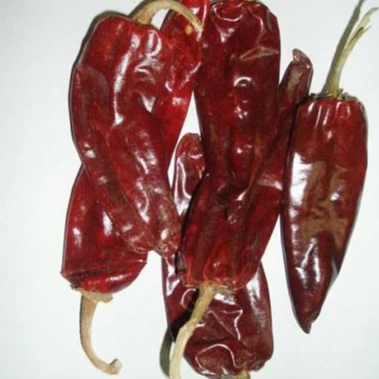 Top quality dry dark red Yidu red sweet chilli paprika for pigment extraction