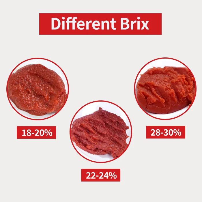 2024 70 g Easy Open Tin Tomato Paste with OEM Brand tomato import paste