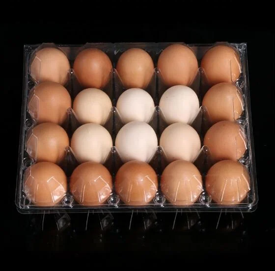 
Factory Price Disposable RPET/PET Clear Blister Plastic Chicken Egg Packing Box Big Egg Tray For Supermarkets 