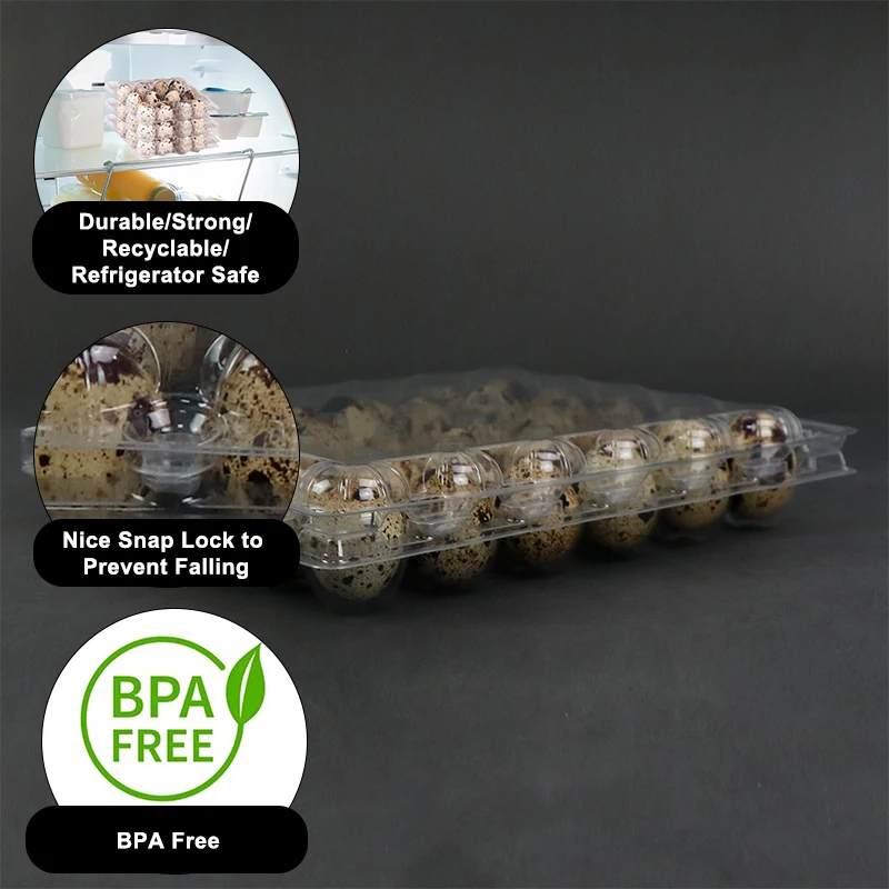 Plastic Quail Egg Packaging Suppliers Plastic Quail Egg Tray 30 Holes Manufacturer