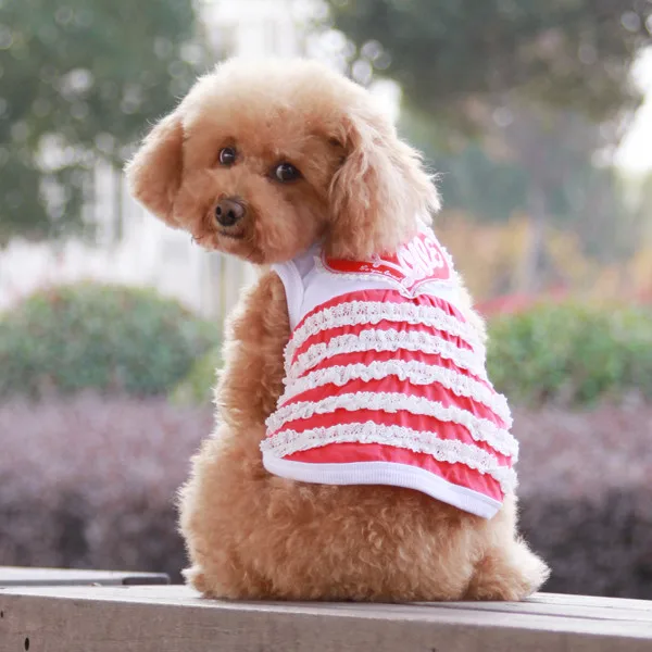 heart summer pet clothes