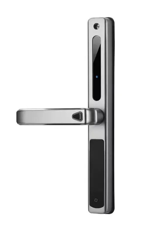 Digital waterproof Outside Sliding Door Handle Password Fingerprint Tuya App Remote Unlock Smart Door Lock