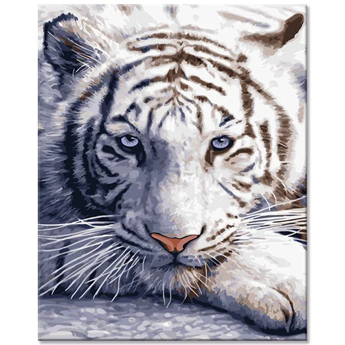 Tiger Design Set Diy Paintings Wild Animal Oil Pictures Tiger Face Paintings Diy Wall Arts