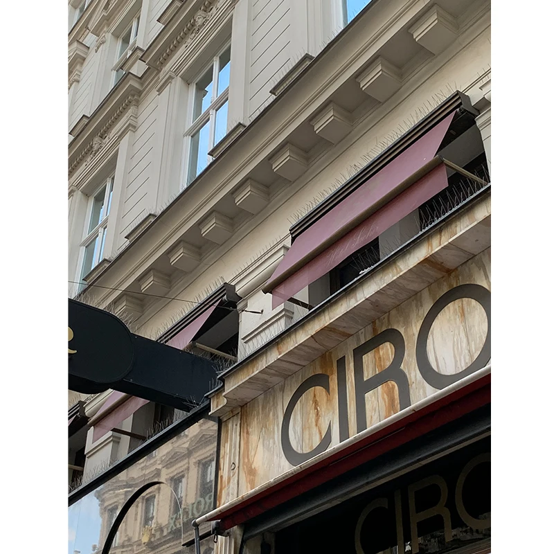 Small Birds Control Deterrent Plastic 32cm length wide base stainless steel 40 Spikes Anti Birds Pigeon spikes