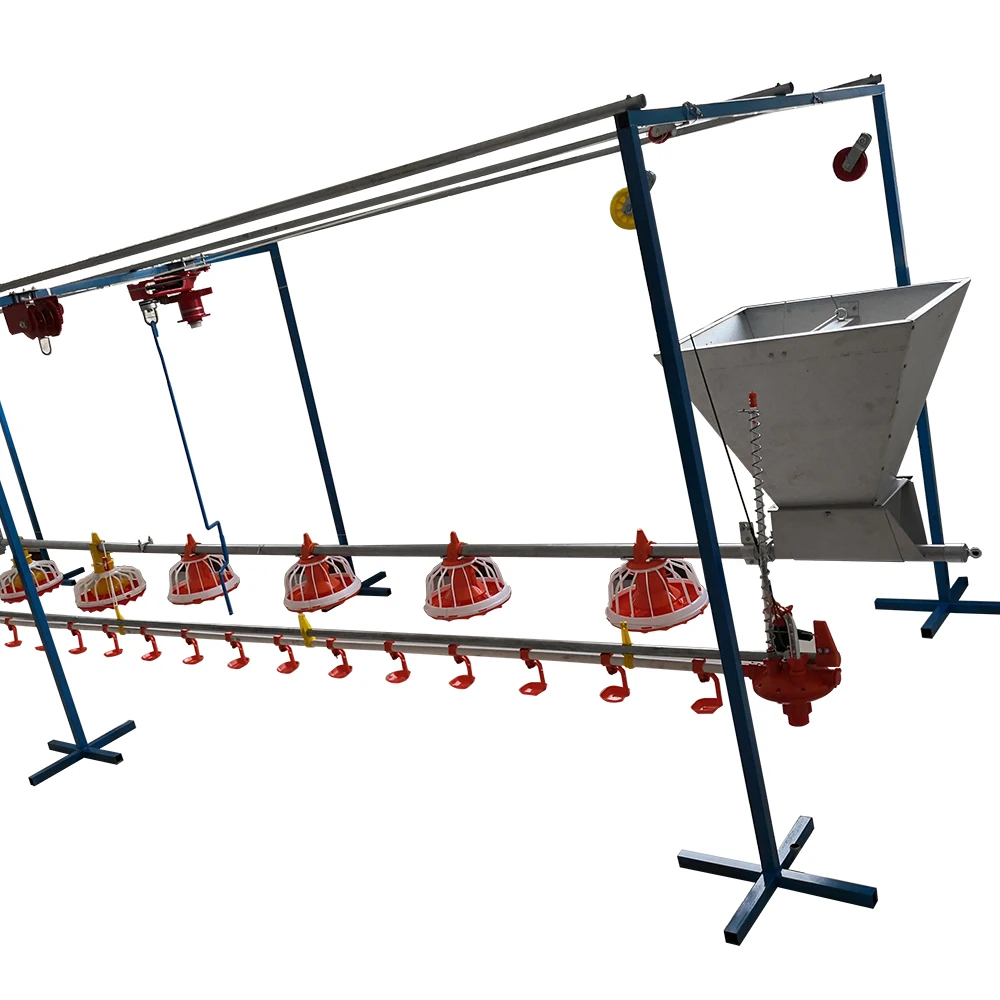 Factory price Automatic Poultry Chicken Hopper Bottom Feed Silo for Chicken House and Poultry Farm