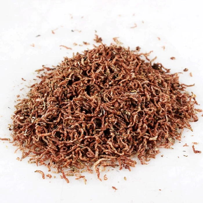 high protein dried blood worms  for animal food feed pet food