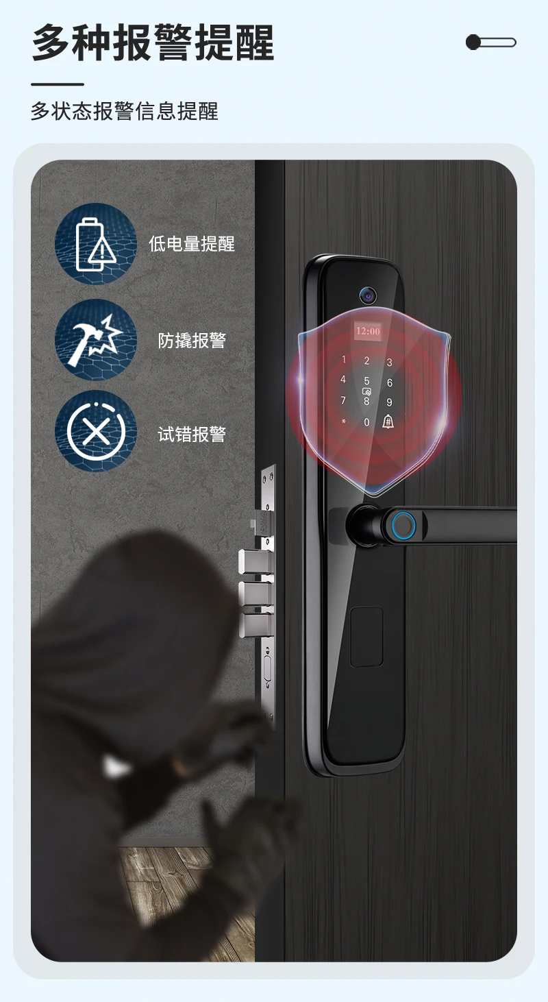 TYSH New Arrival Tuya Wifi Fingerprint Biometric Smart Lock Bluetooth Card Key Smart Door Lock Cerraduras Inteligentes