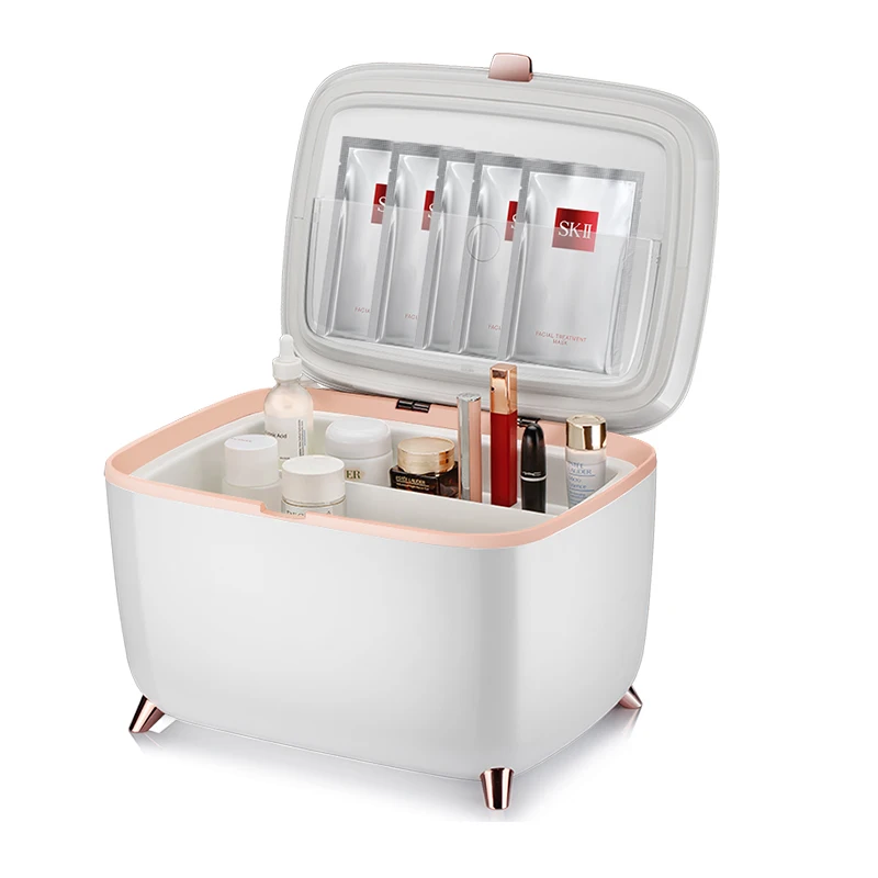 Factory Supply Mini Skincare Fridge 6L 10L Adjustable Hot Cold Eco Skin Care Beauty Fridge For Bathroom Home Car