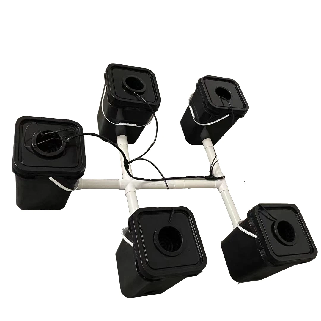 Complete Rdwc deep liquid water circulation hydroponic system, soilless cultivation