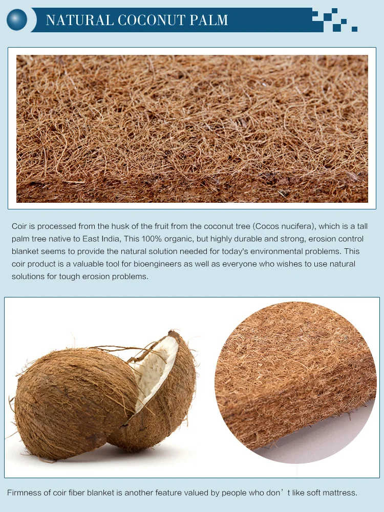 Customized High Quality Comfortable Coir Baby Bed Coconut Palm Mattress