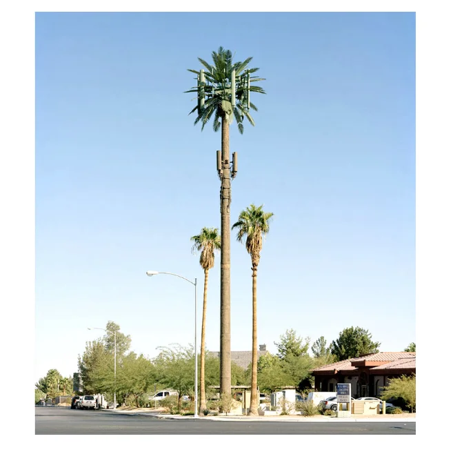 Competitive Price Low MOQ Communication Tower The airport Camouflage Cell Phone Tower Palm Tree