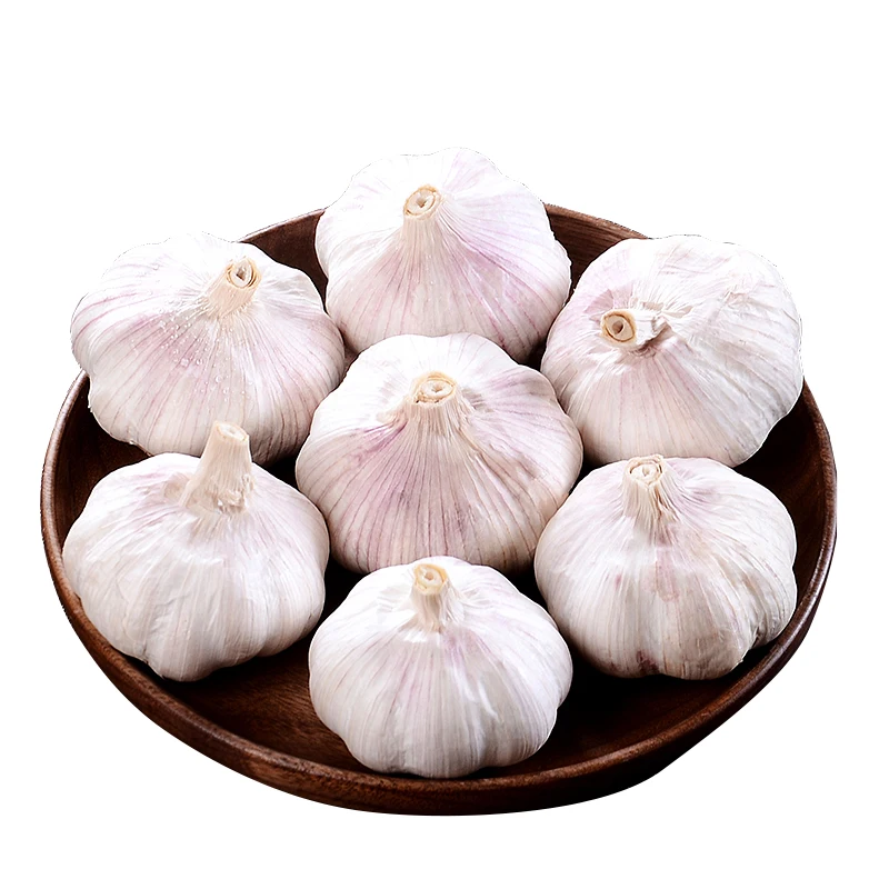 GEKO Food Bulk Lot Vegetable Products Fresh Garlic for Garlic Powder