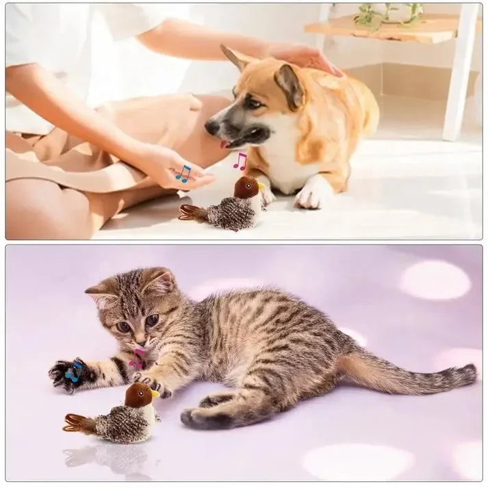 Kitten Interactive Chirpping Bird Cat Toy For Indoor Cats Self Play