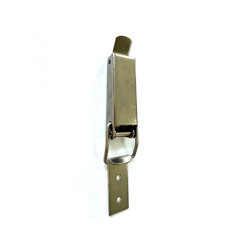 Quality Special 304 Stainless Steel Marine Hardware Rotomold Case Latch Toggle Clamp Latch