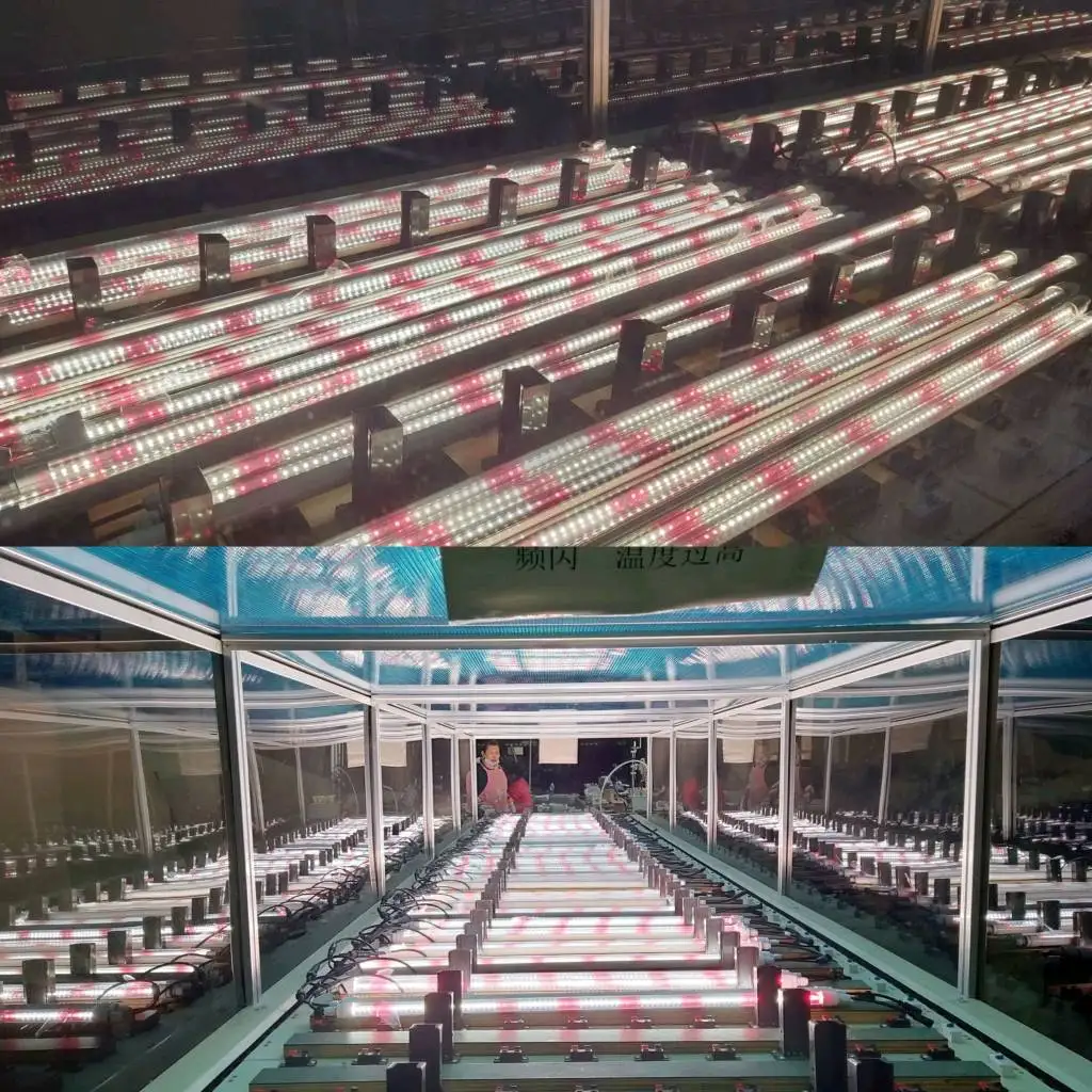 LED Full Spectrum Grow Lights custom Spectrum LED plant Light tubes lamp for vegetable green house