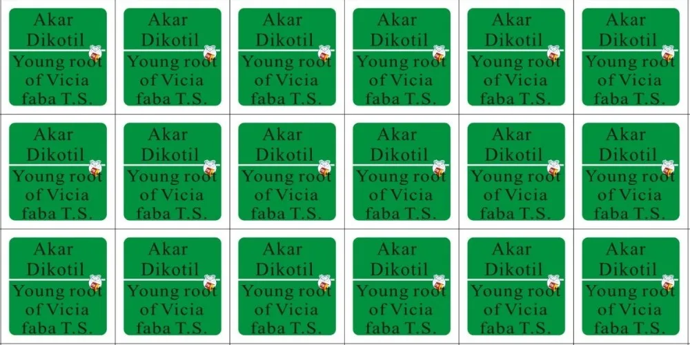 colorful slides label.jpg