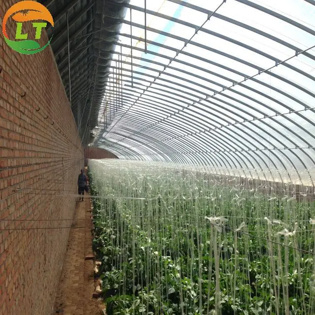 Winter cold weather greenhouse solar greenhouse