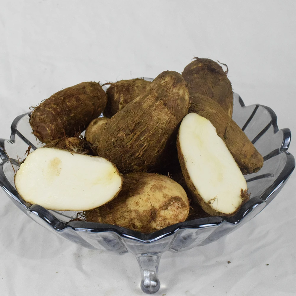High Quality China Fresh Taro With Best Price