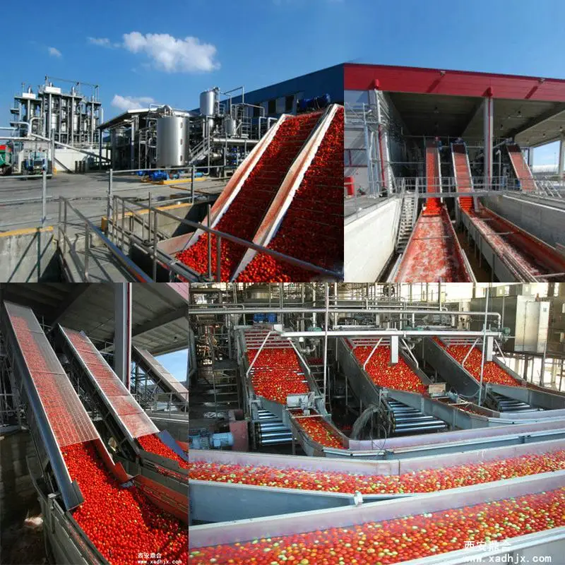 KINGWISH plant turnkey project tomato paste jam sauce plant tomato jam ketchup processing line/tomato sauce plant