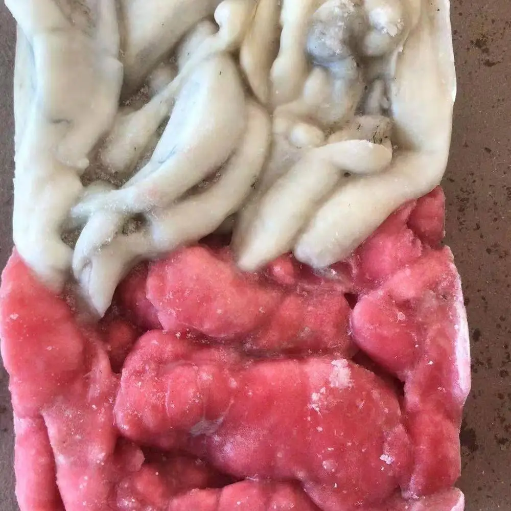 Замороженные индийские икры кальмара