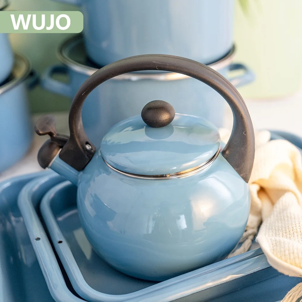 Manufacturer Blue Simple Modern Customized LFGB Eco Friendly Enamel Kettle for Tea Coffee