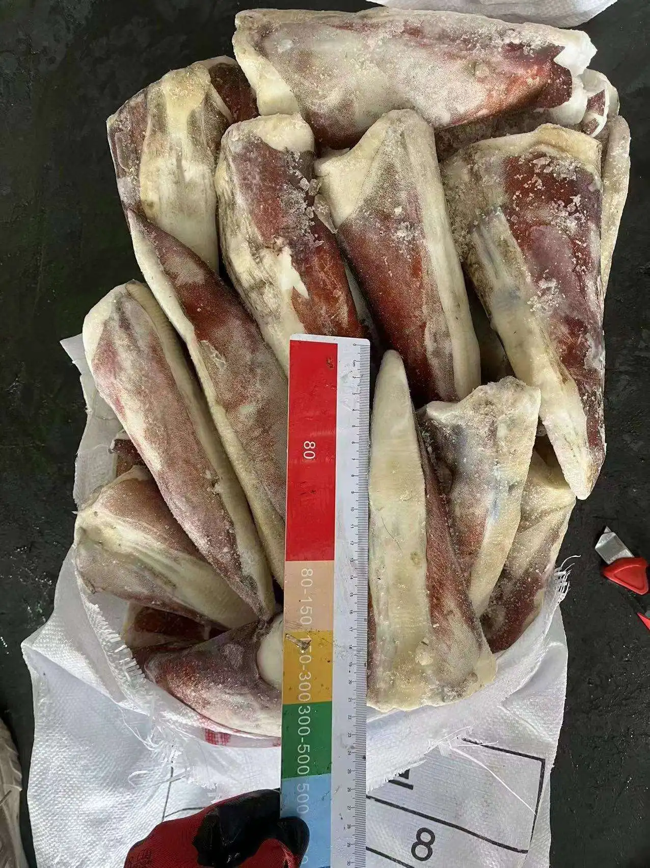 Замороженный гигантский наконечник кальмара