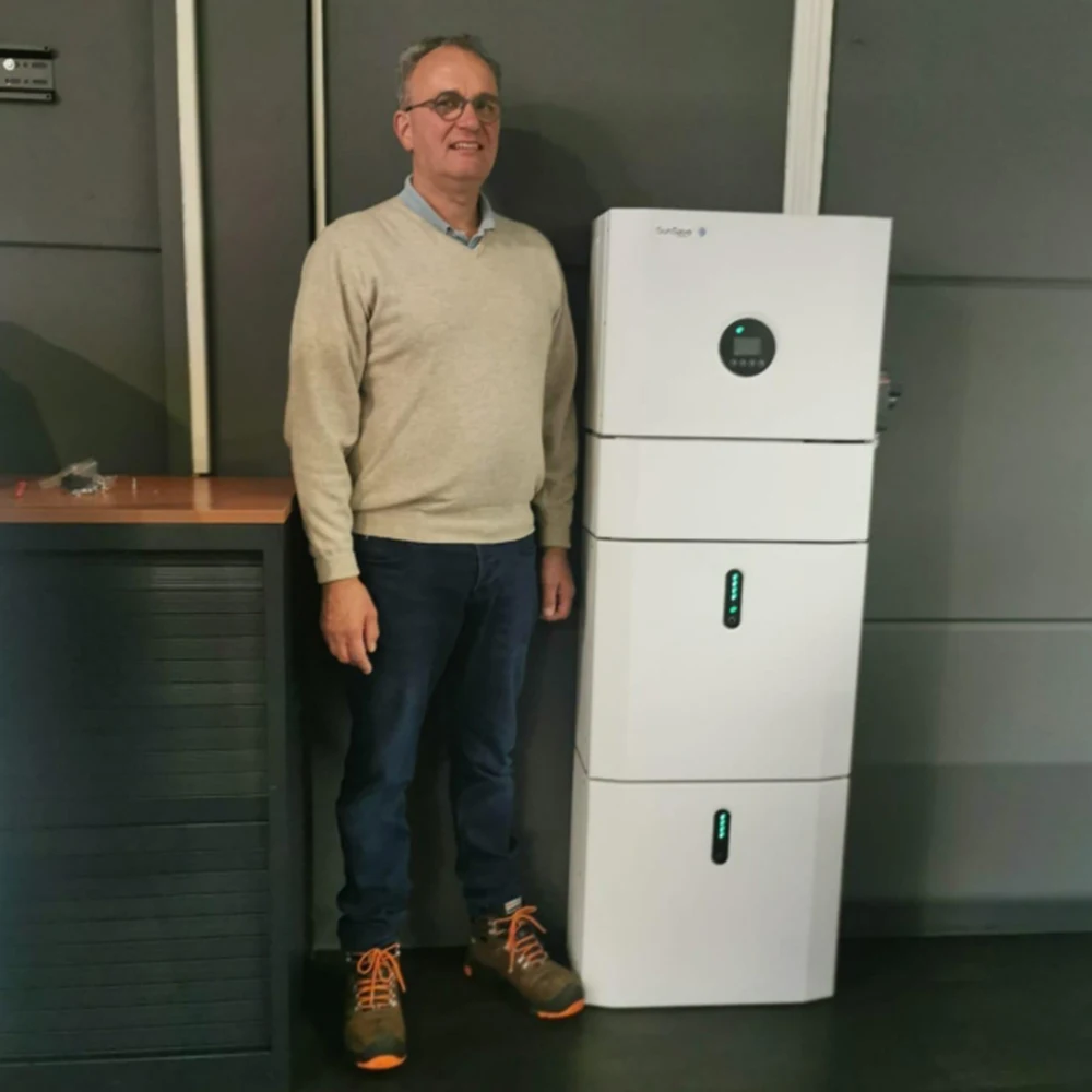 CATL Lithium Iron Phosphate Battery Pack ESS On Grid Hybrid Solar Inverter Energy Storage System Solution