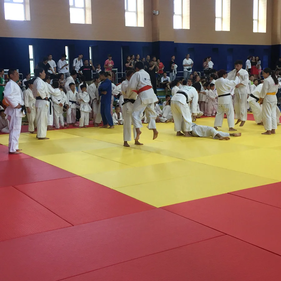 OEM Sport Mat Second Hand Judo Mat for sale Puzzle Tatami Mats Judo