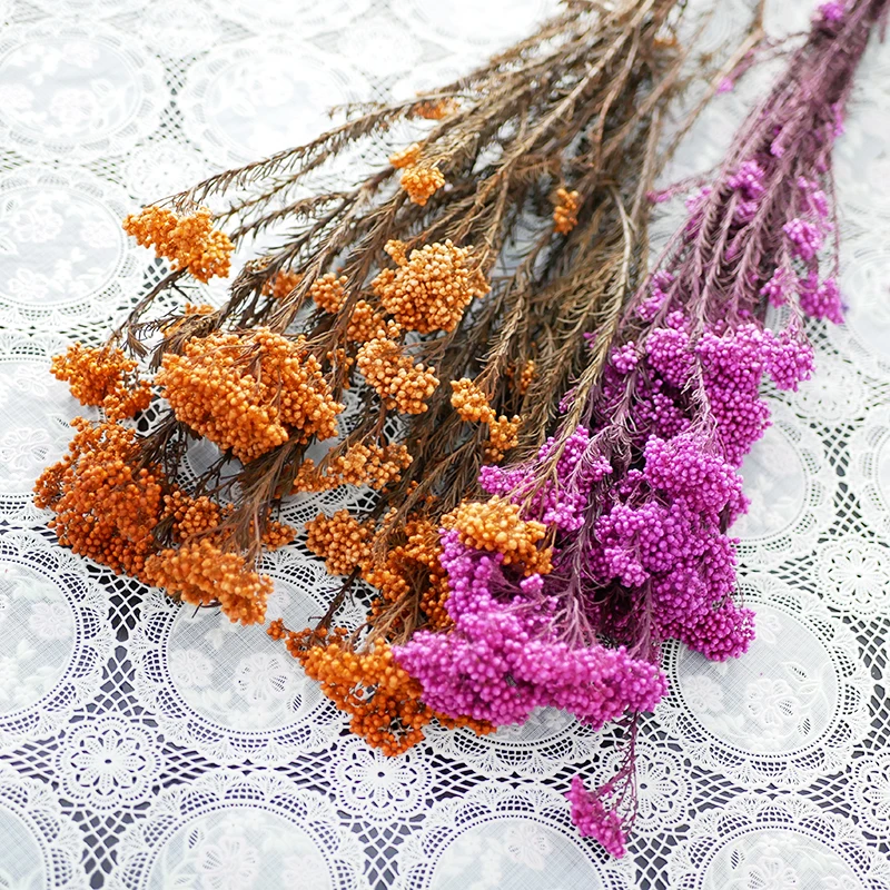 Millet Flower Home Floral Decoration Factory Supply Decorative Dried Flowers Broom Bloom Colorful Preserved Rice Flower