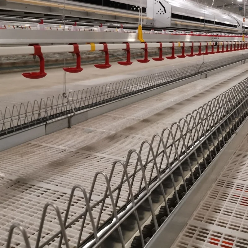 Automatic Breeding Female Chicken Feeder poultry Farming System Chain Feeding Line Hens Broiler Breeder House Equipment