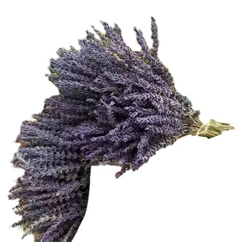 Wholesale Dried Lavender Bouquet 260 Natural Lavender Dried Flowers Plants Home Decor