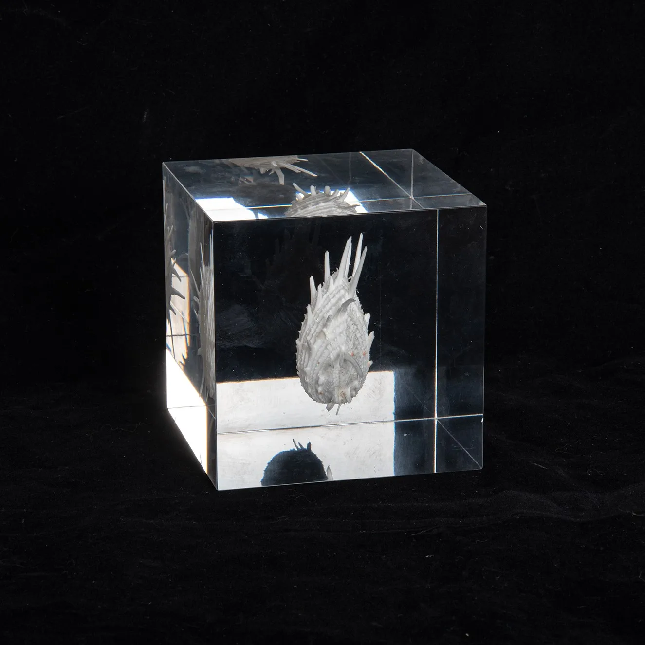 Solar Table  Solar System Shape Round Ring Model Best Quality Table Ware For Home  Living Room Decor