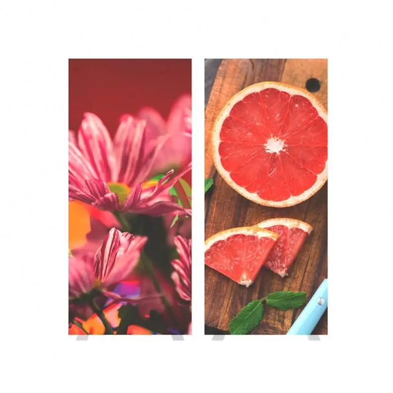 Portable Type Plastic Frame light box of backdrop frame