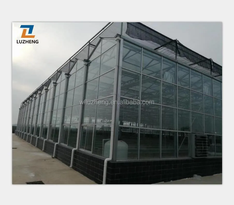 Multi-Span glass Greenhouse for Vegetable/Flower/Fruits with Complete System/Hydroponic Systems.