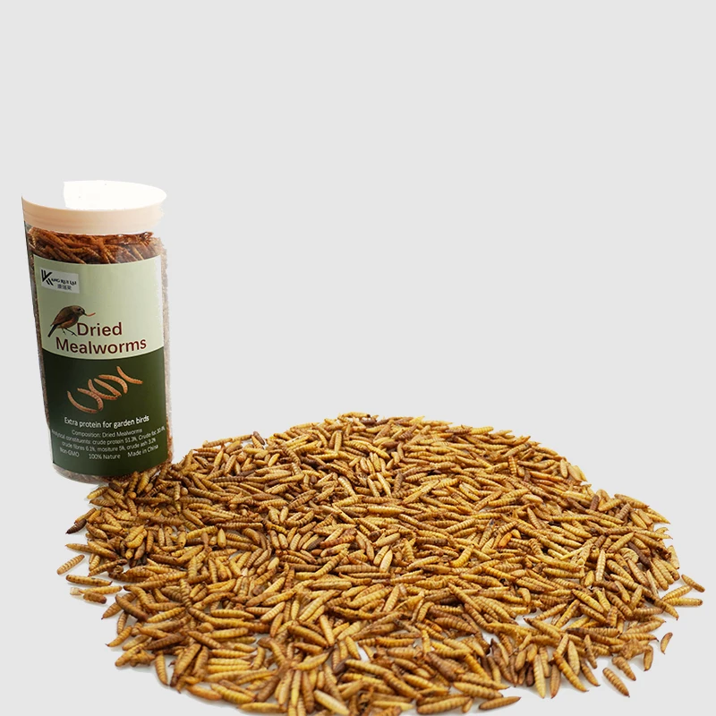 wholesale dried yellow mealworms pet food bird food feed hamster snacks ornamental fish and turtle food