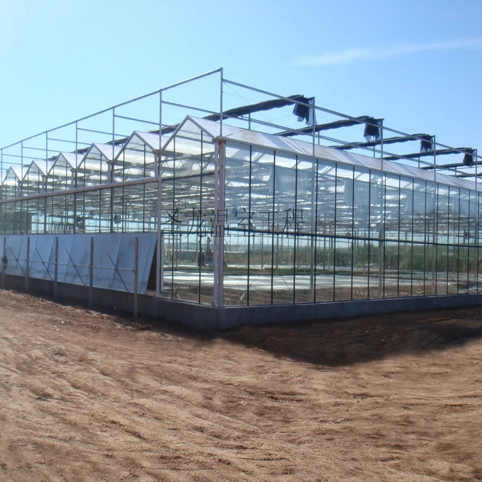  5mm Tempered glass high end agricultural crops and vegetables