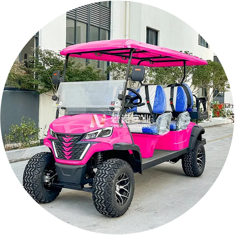 chinese Cheap Prices 4/6 Seater gasoline Golf Carts with good driving pleasure petrol Buggy Car