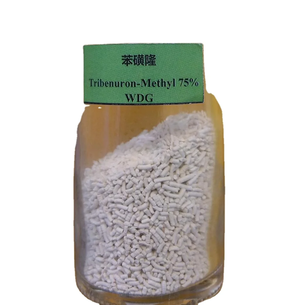Weedicide Tribenuron-Methyl 75 WDG Tribenuron-Methyl 75 DF