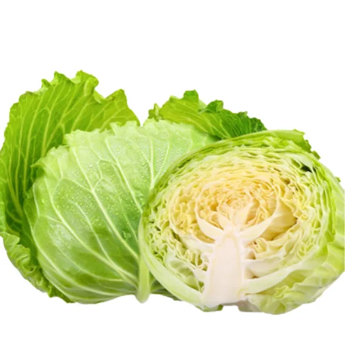 DEAL HOT Natural Green Chinese/Napa Cabbage with High Quality exporting in 2023 product of Viet Nam