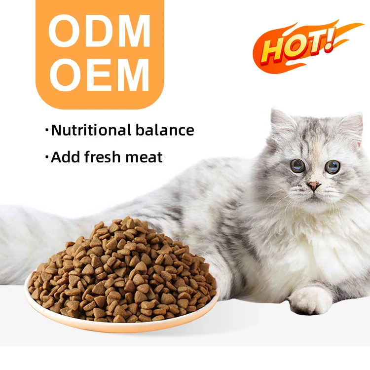 Nutritionally Balanced Fish Shaped Dry Cat Food for All Ages Factory Customized Discounted Price