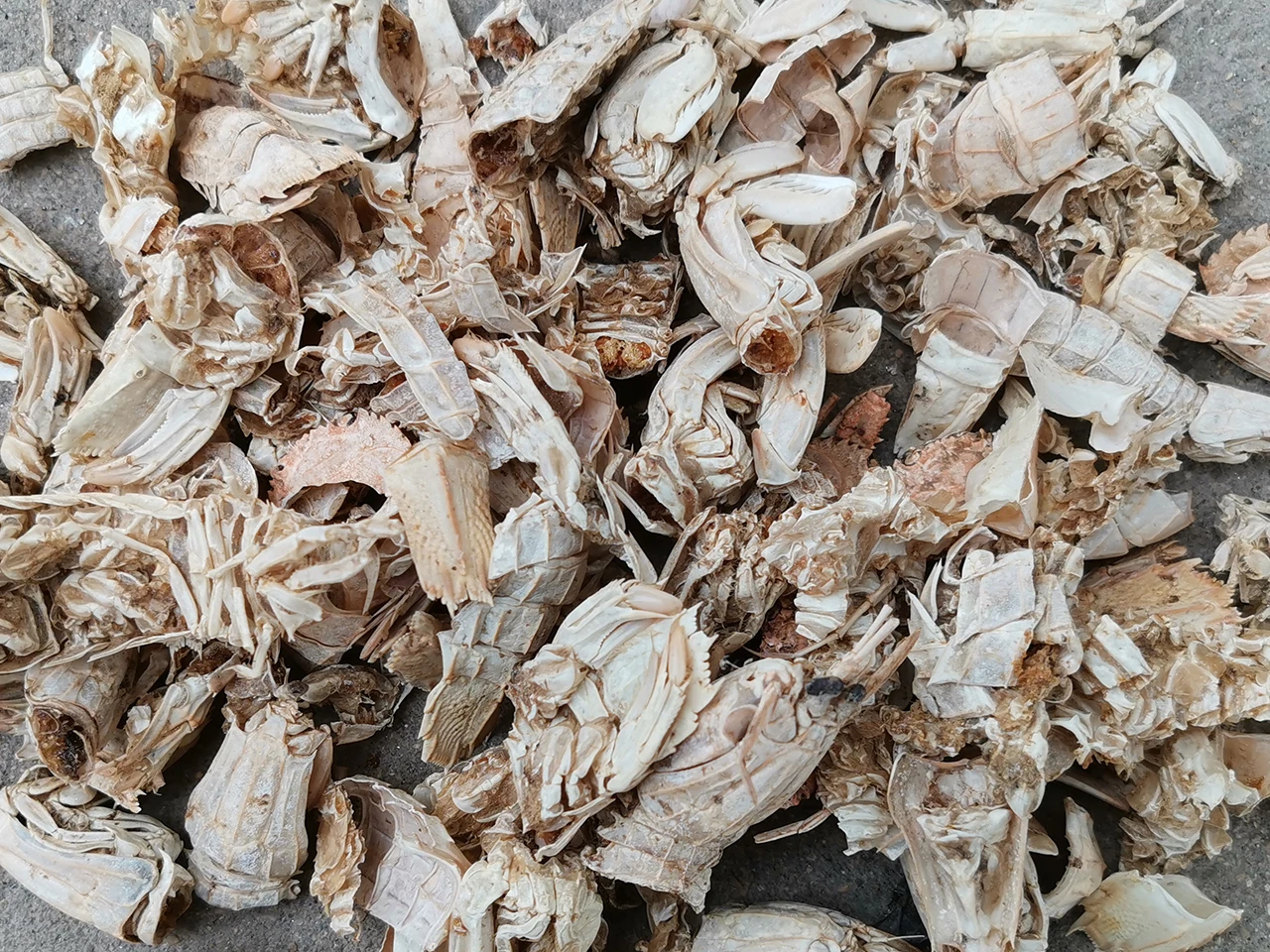 
Natural safety biostimulant water soluble agriculture use chitosan oligosaccharide 