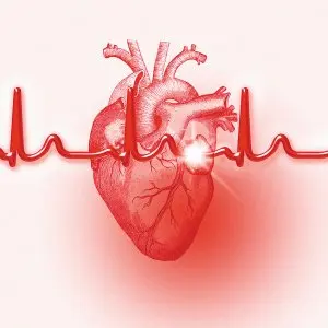 cardiovascular