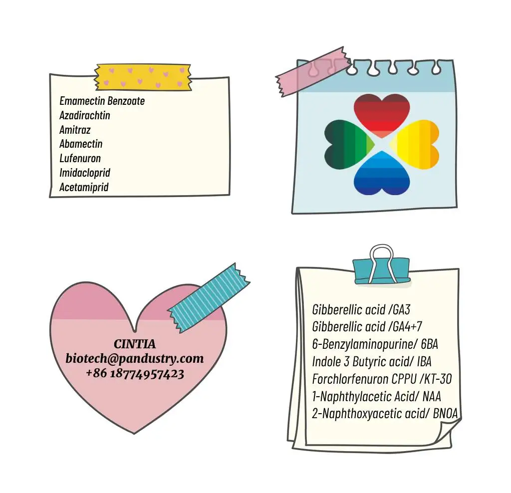 
imidacloprid 10% wp 98%TC in controling Thrip Aphid 