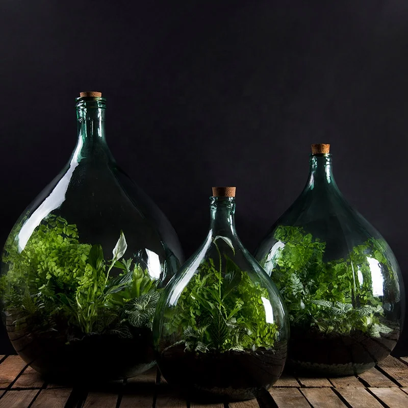 Esschert Design AGG50 indoor plant including toolset 50 litre set bottle glass closed terrarium with cork