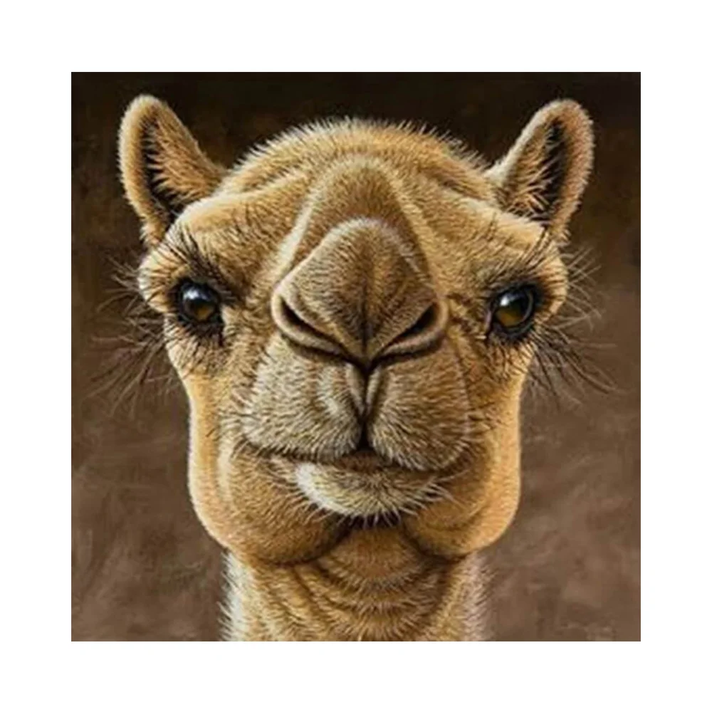 5D DIY diamond painting crystal color special diamond corridor jewelry home decoration gift cartoon camel